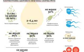 Как увеличить количество спермы препаратами, народными средствами, упражнениями