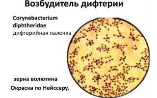 АДСМ прививка — что это такое, от чего и куда делают