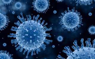 Что такое вирус Коксаки: симптомы и лечение