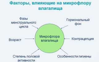 Большое количество эритроцитов в мазке