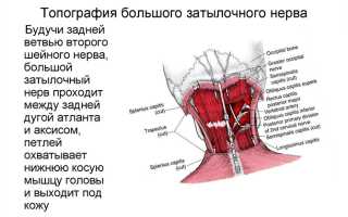 Почему появляется боль в шее слева — чем опасный симптом для здоровья человека