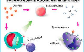 Антигистаминные препараты — что такое гистамин и поколения препаратов