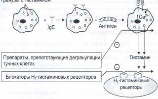 Недорогие таблетки от аллергии — самые популярные препараты